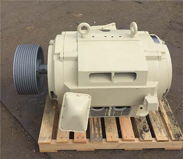 RELIANCE 300 HP (225 kW) Duty Master Energy Efficient Motor